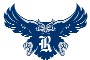 Rice Owls